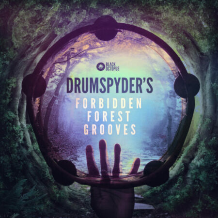 Drumspyder's Forbidden Forest Grooves