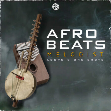 Afrobeats Melodist : Loops & One Shots