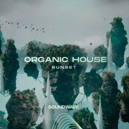 Organic House Sunset