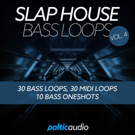 Slap House Bass Loops Vol 4