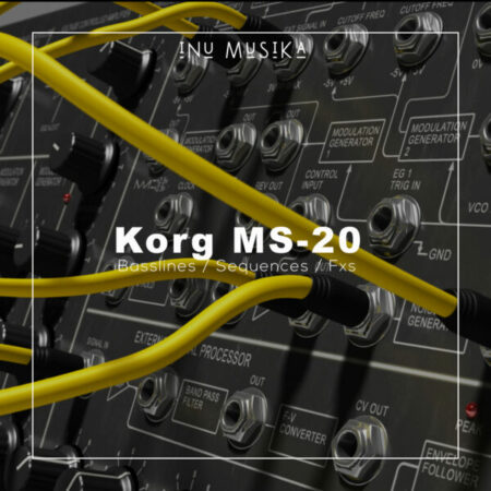 Korg MS-20 Basslines & Sequences Library