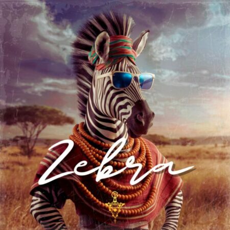 Zebra - Amapiano & Afrobeats Guitars